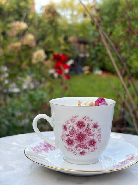 Rose de Bavière