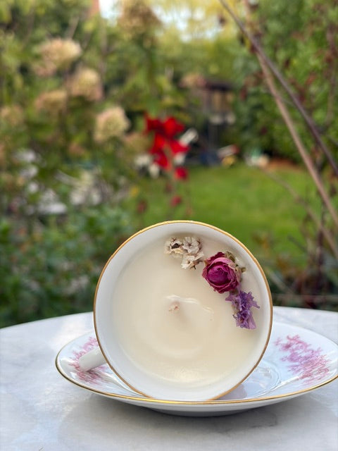 Rose de Bavière