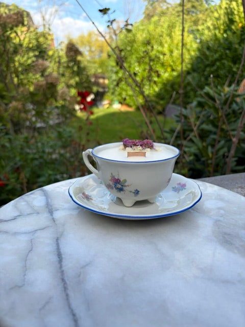 Bleu des jardins